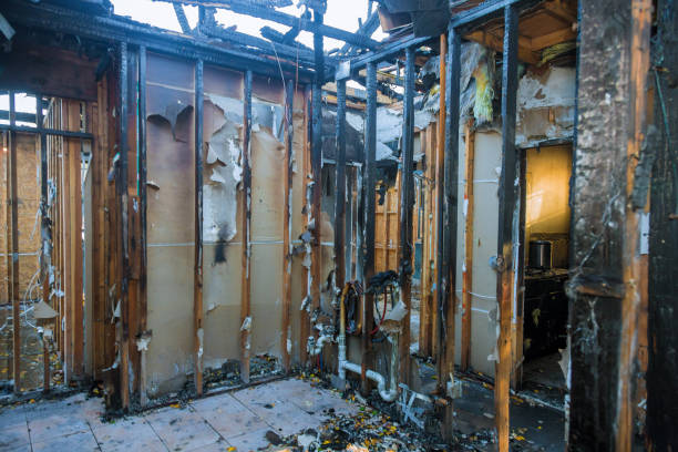 Professional Fire Damage Removal technician working in St. Charles, MI